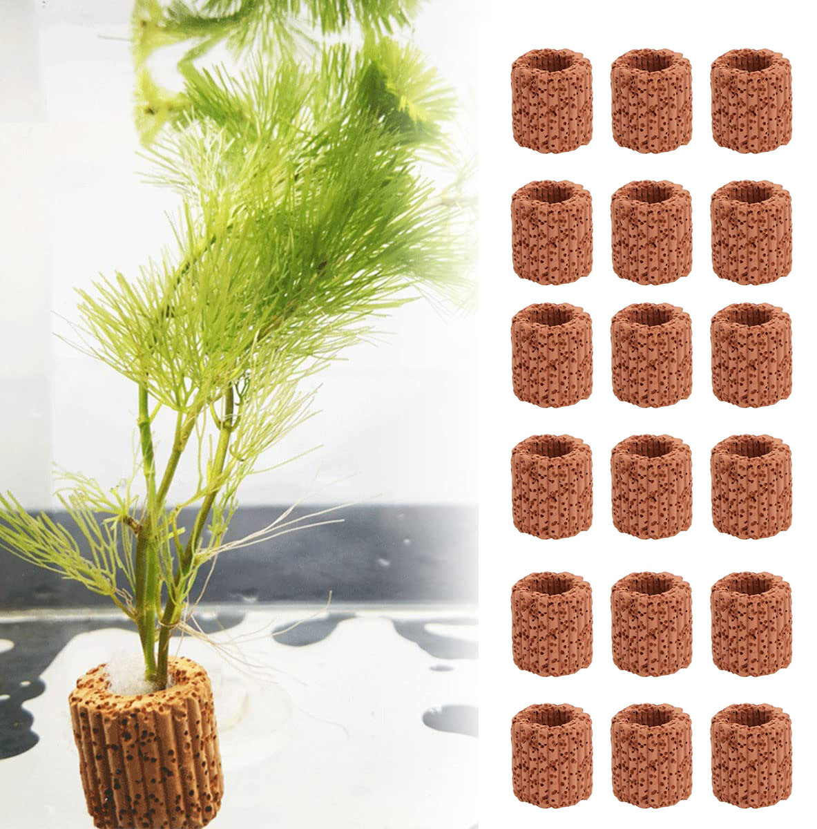 Aquarium Fish Pot - Anillo fijo para plantas acuáticas, Base