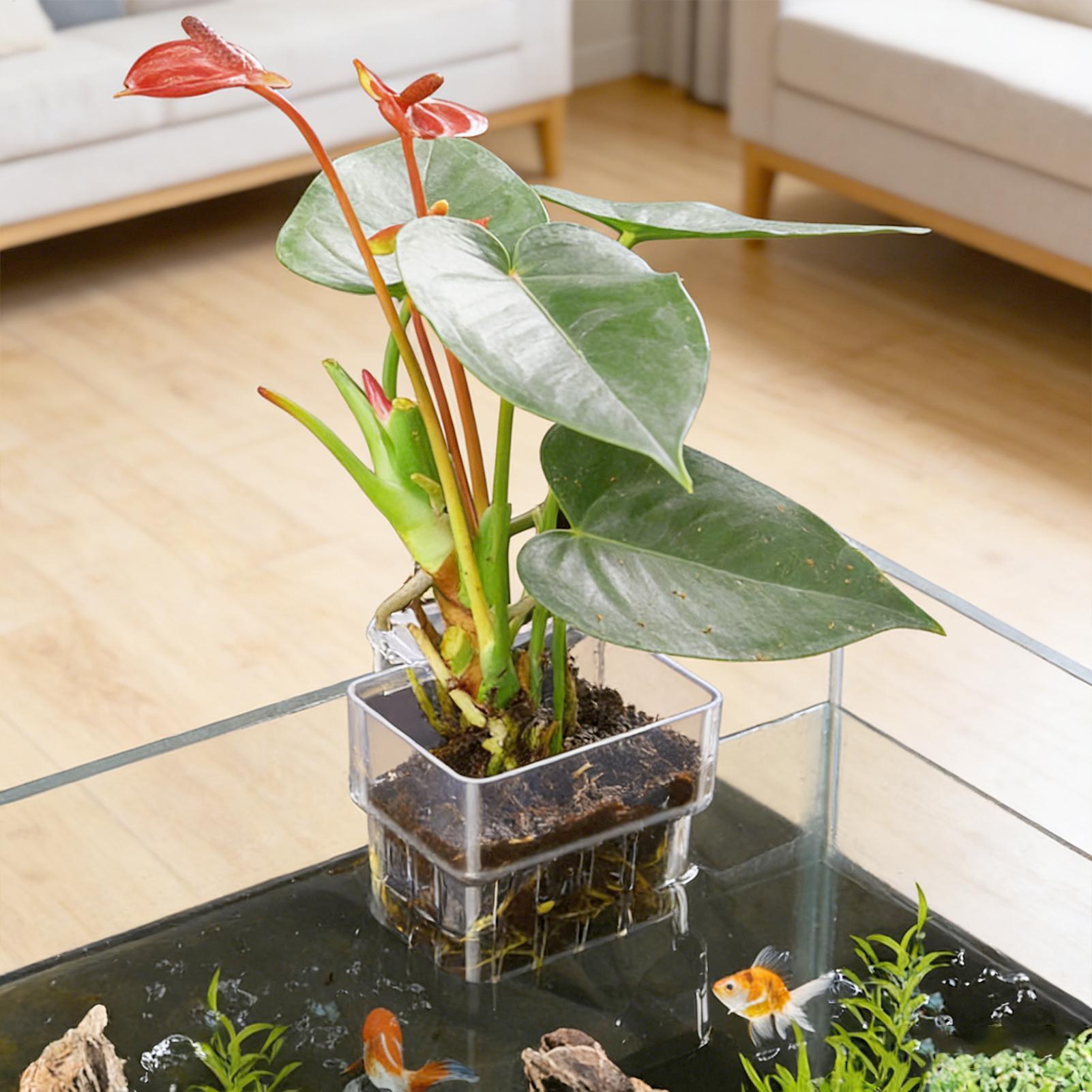 Aquarium Fish Pot - Cesta para Plantas de Acuario, Decoración