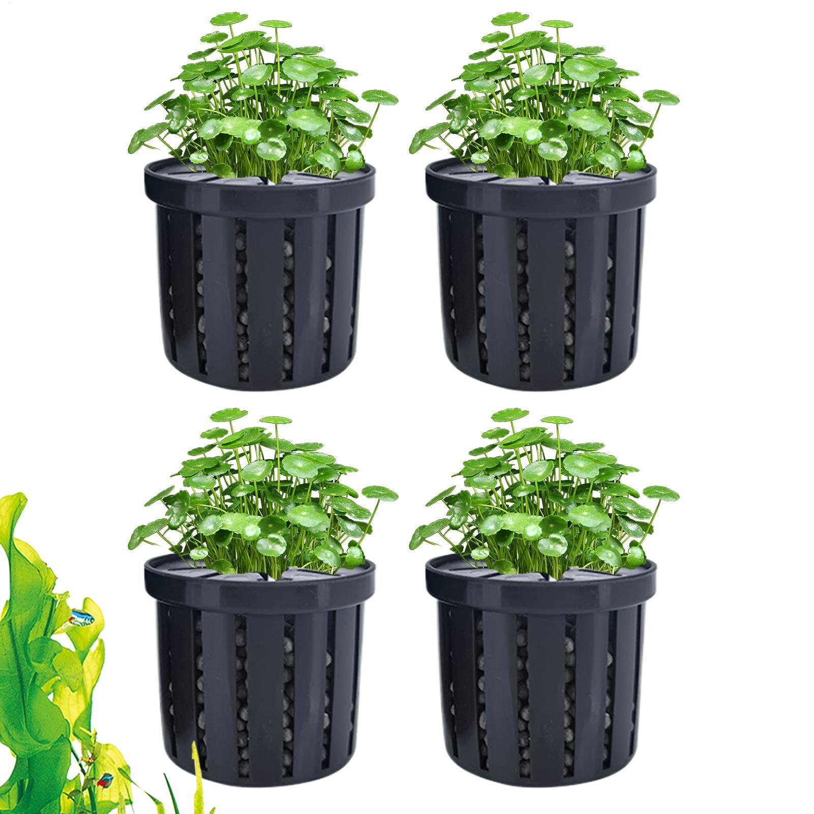 Aquarium Fish Pot - Maceta para acuario de 4 piezas