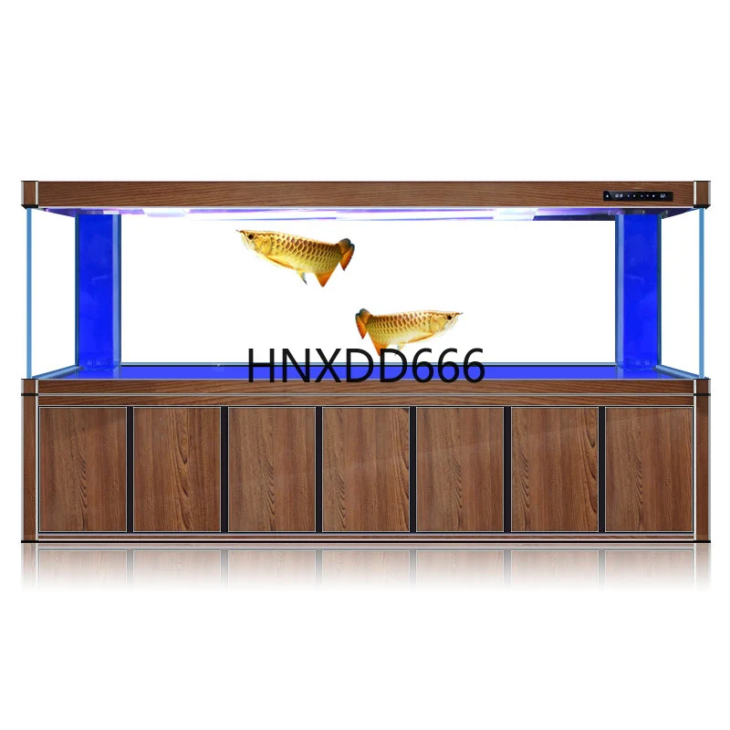 Aquarium Fish Dragon - Acuario grande para peces dragón dorados,