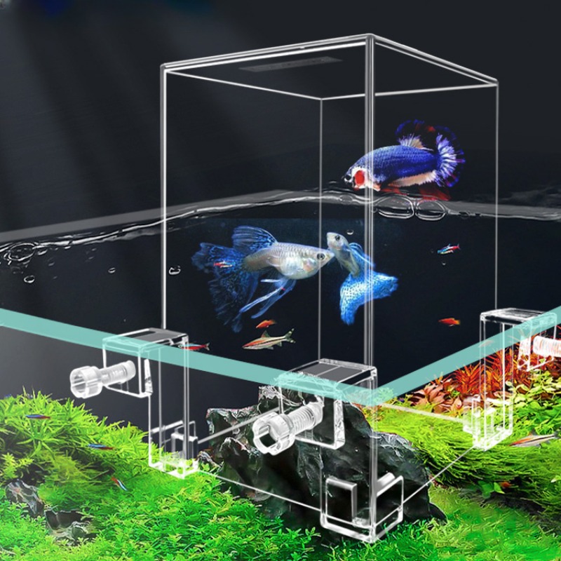 Aquarium Fish Pot - Tanques de acuario creativos, pecera de