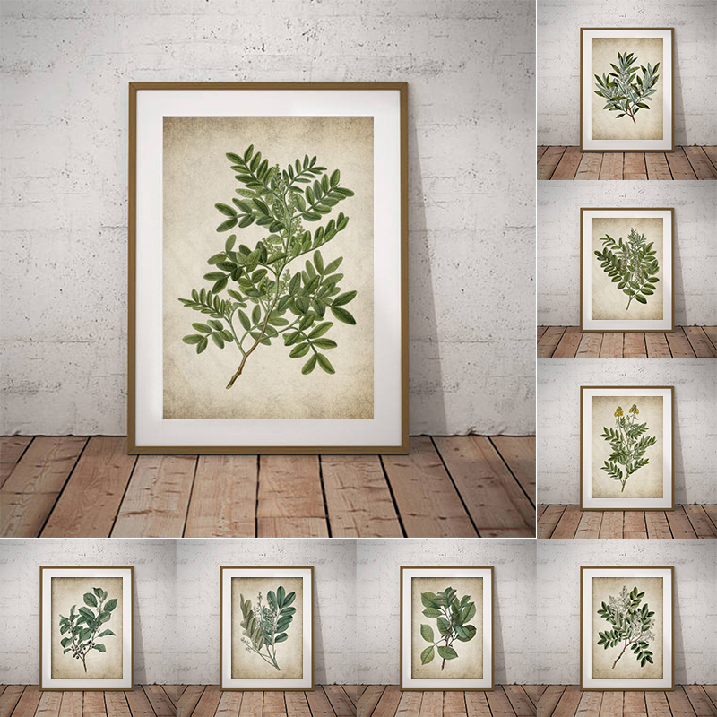Live Plant Fertilizer - Póster botánico de hoja verde Vintage,