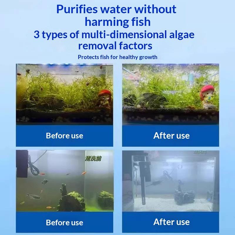 Aquarium Fish Maintenance - Tabletas Limpiadoras de Algas para Acuarios,