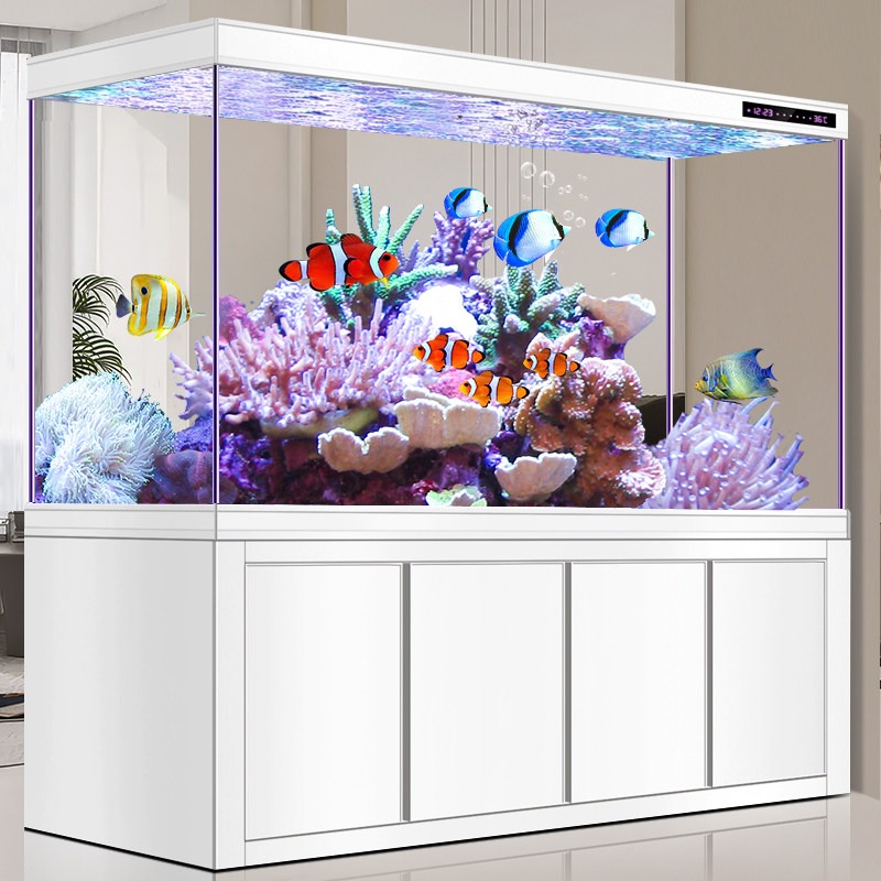 Aquarium Fish Dragon - Nuevo acuario grande para sala de