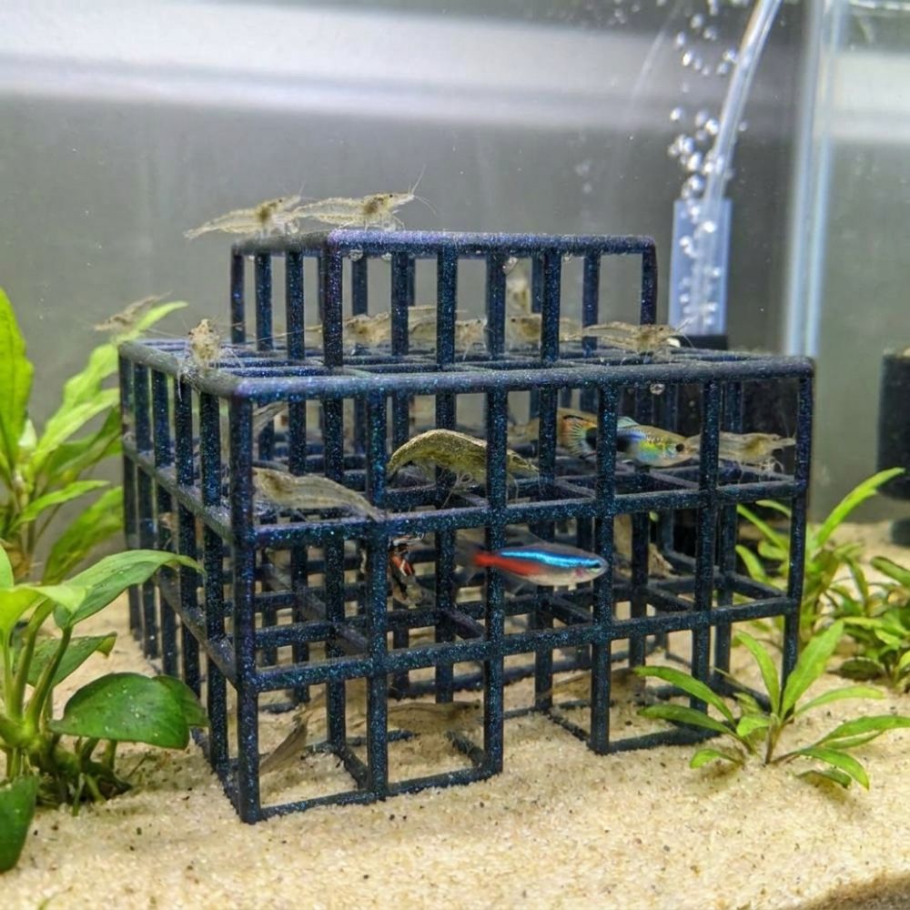 Aquarium Fish Games - Escondite para Peces y Camarones Impreso