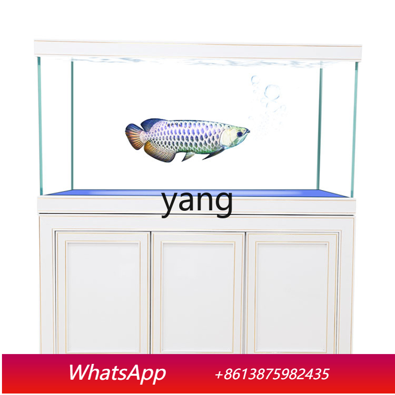 Aquarium Fish Dragon - Acuario de Cristal Súper Blanco LH,