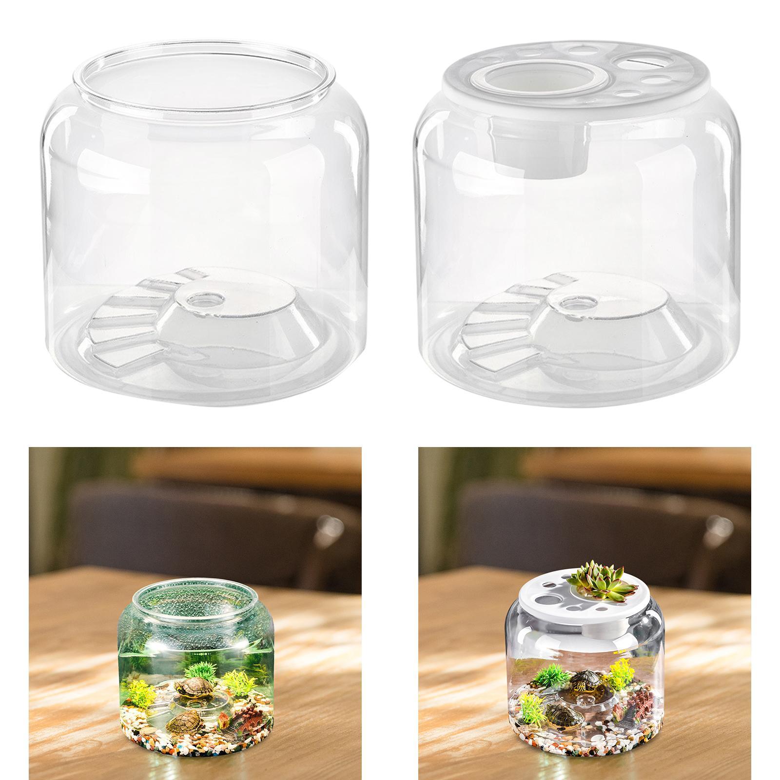 Aquarium Fish Drawing - Acuario Transparente de Gran Capacidad para