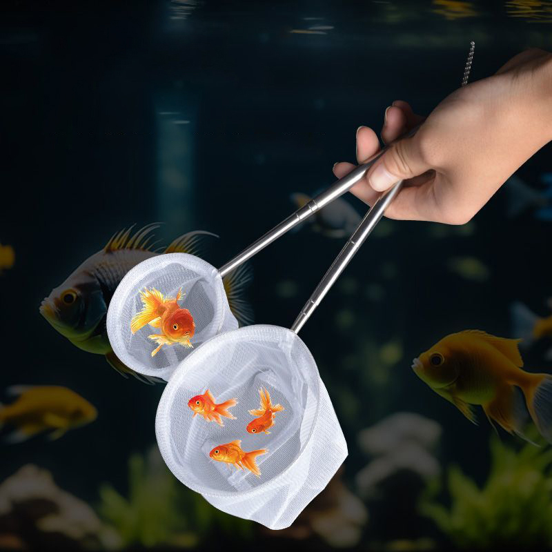 (BF06) Red de pesca para peces - Aquarium Fish Maintenance reseña y precio