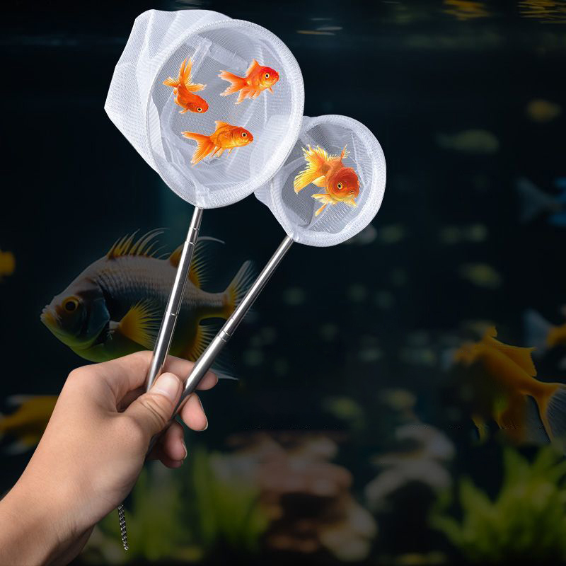 (BF06) Red de pesca para peces - Aquarium Fish Maintenance reseña y precio