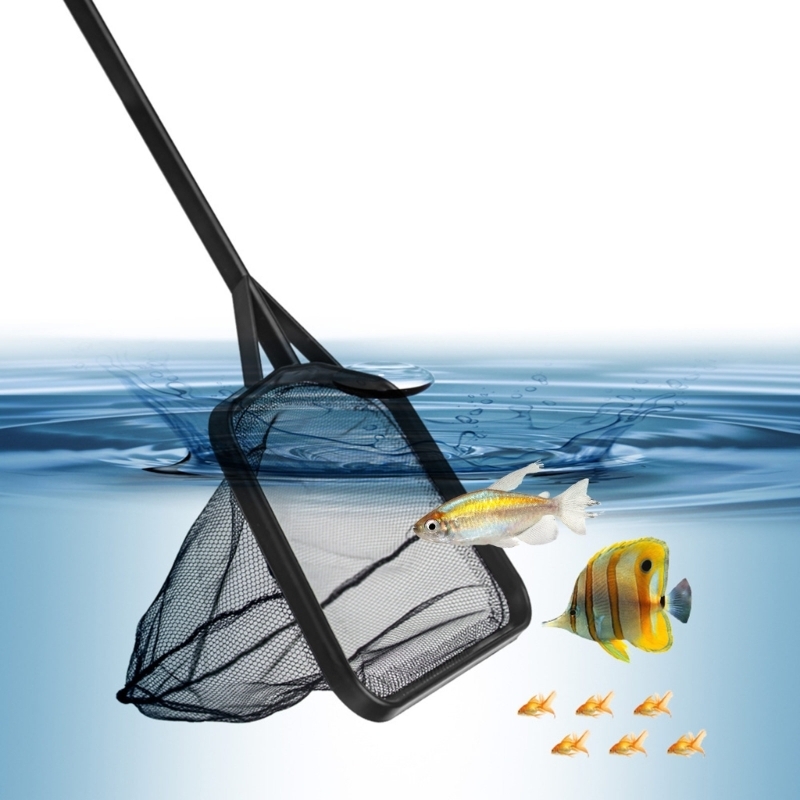 Red aterrizaje pesca con longi - Fish Net Handle reseña y precio