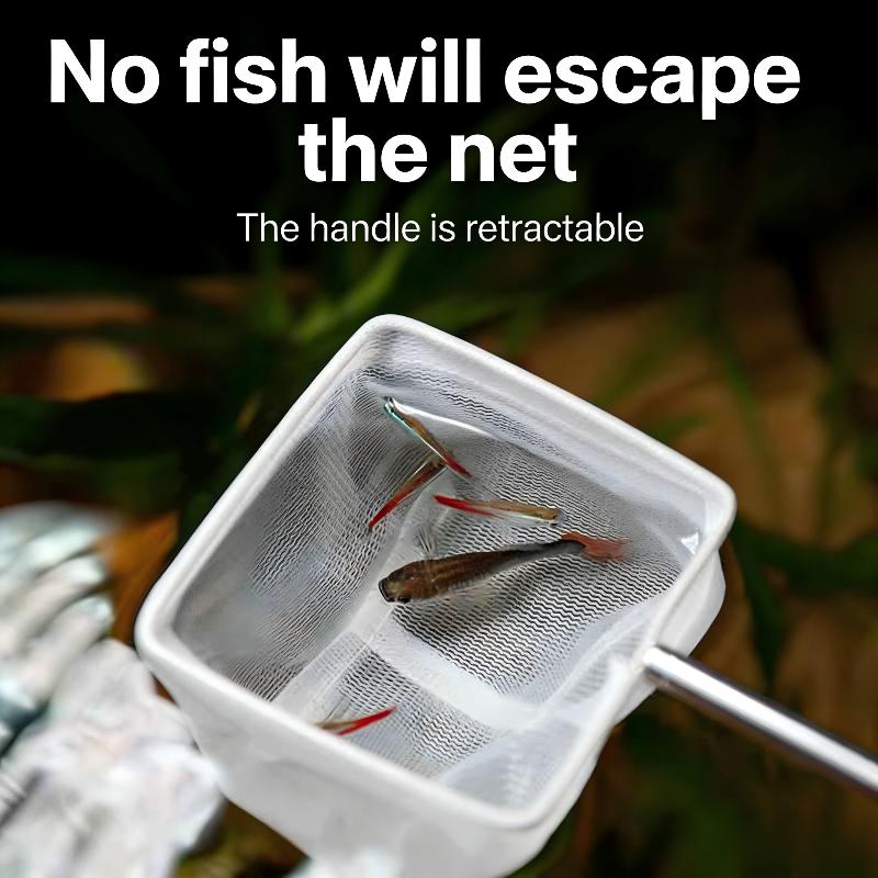 Red de Pesca de Acero Inoxidab - Aquarium Fishland reseña y precio