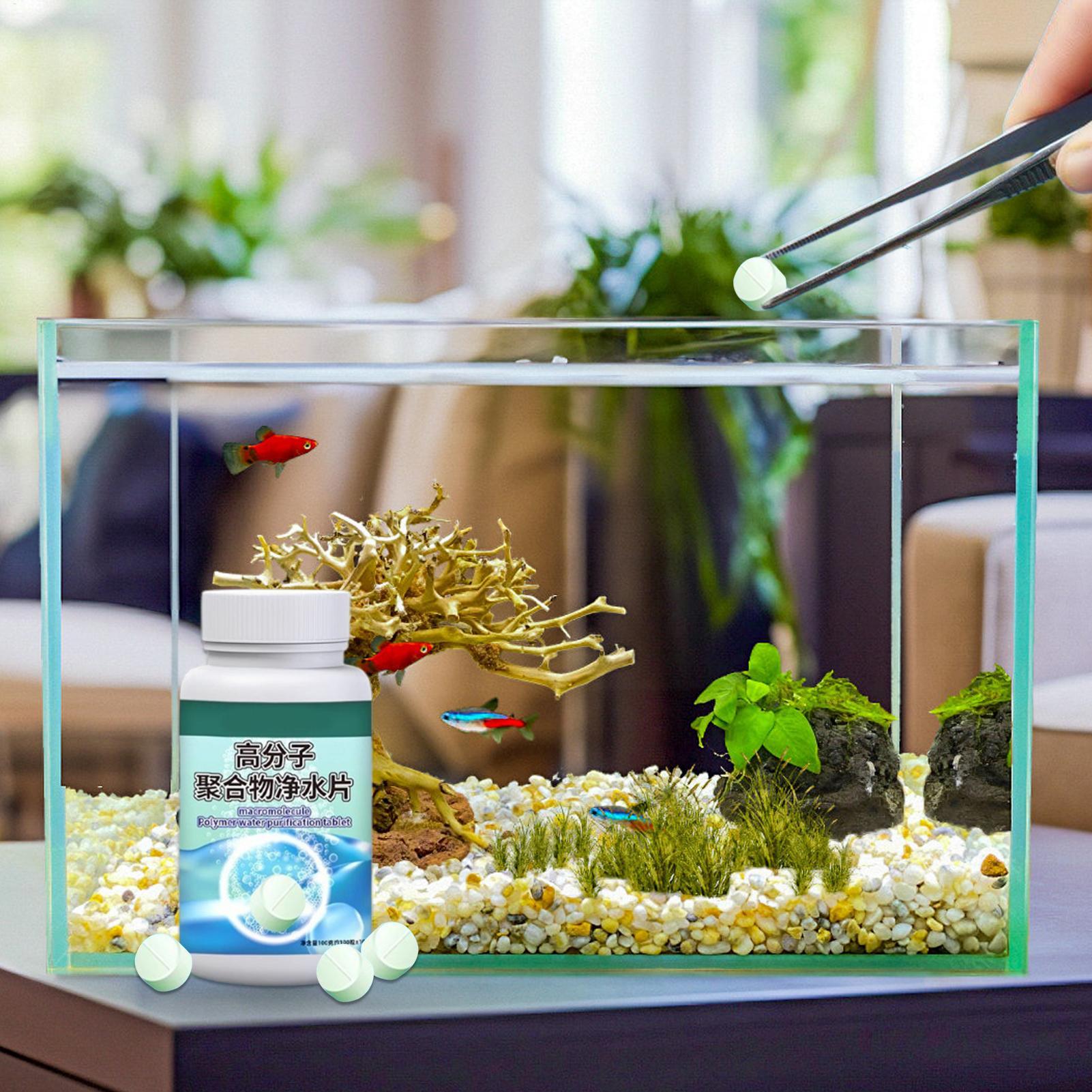 Removedor de algas para peces, - Aquarium Fishing reseña y precio