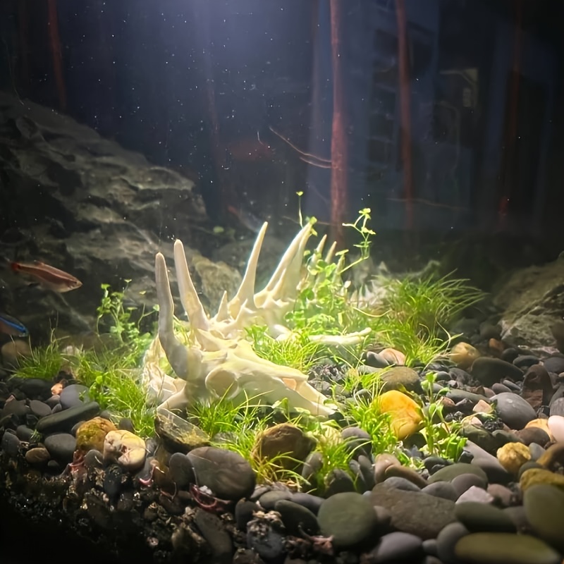 1 pieza de decoración de espin - Aquarium Fish Games reseña y precio