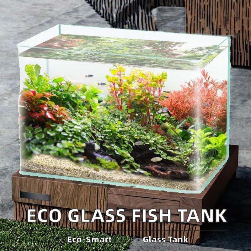 Caja de embalaje para acuario  - Aquarium Fish Glass reseña y precio