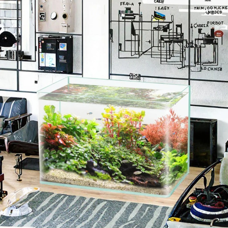 Caja de embalaje para acuario  - Aquarium Fish Glass reseña y precio