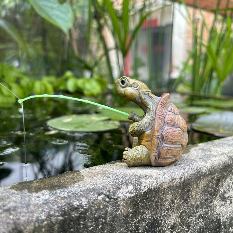 Tortuga pesca pecera acuario d - Aquarium Fishing reseña y precio
