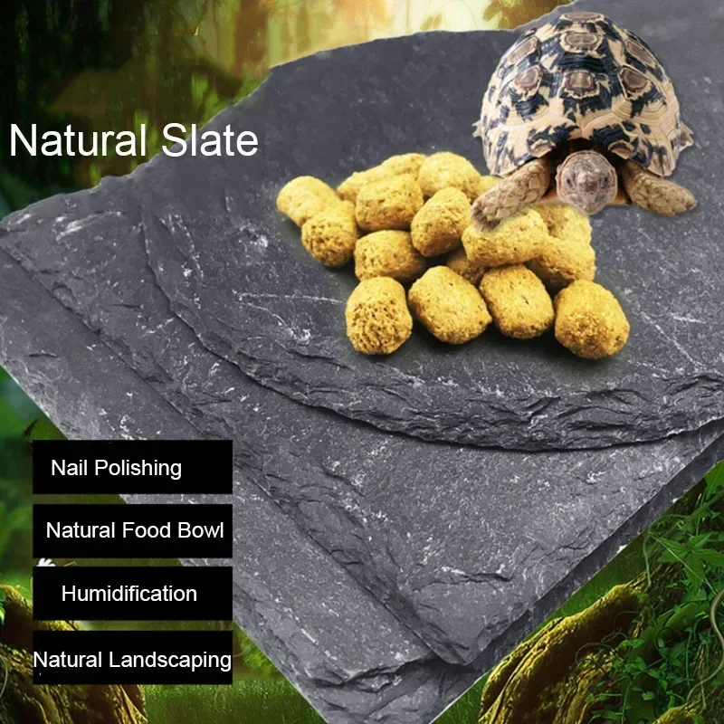 Cuenco alimentador de reptiles - Aquarium Fish Pot reseña y precio