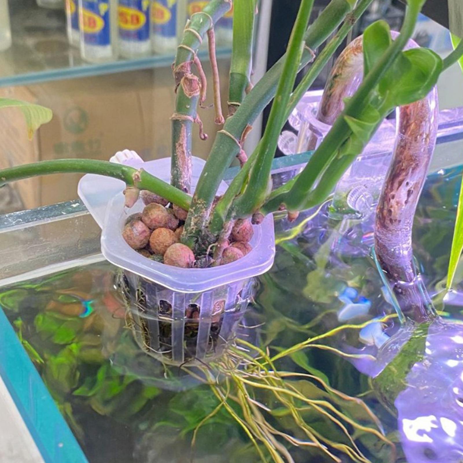 Soporte colgante para plantas  - Aquarium Fish Elevator reseña y precio