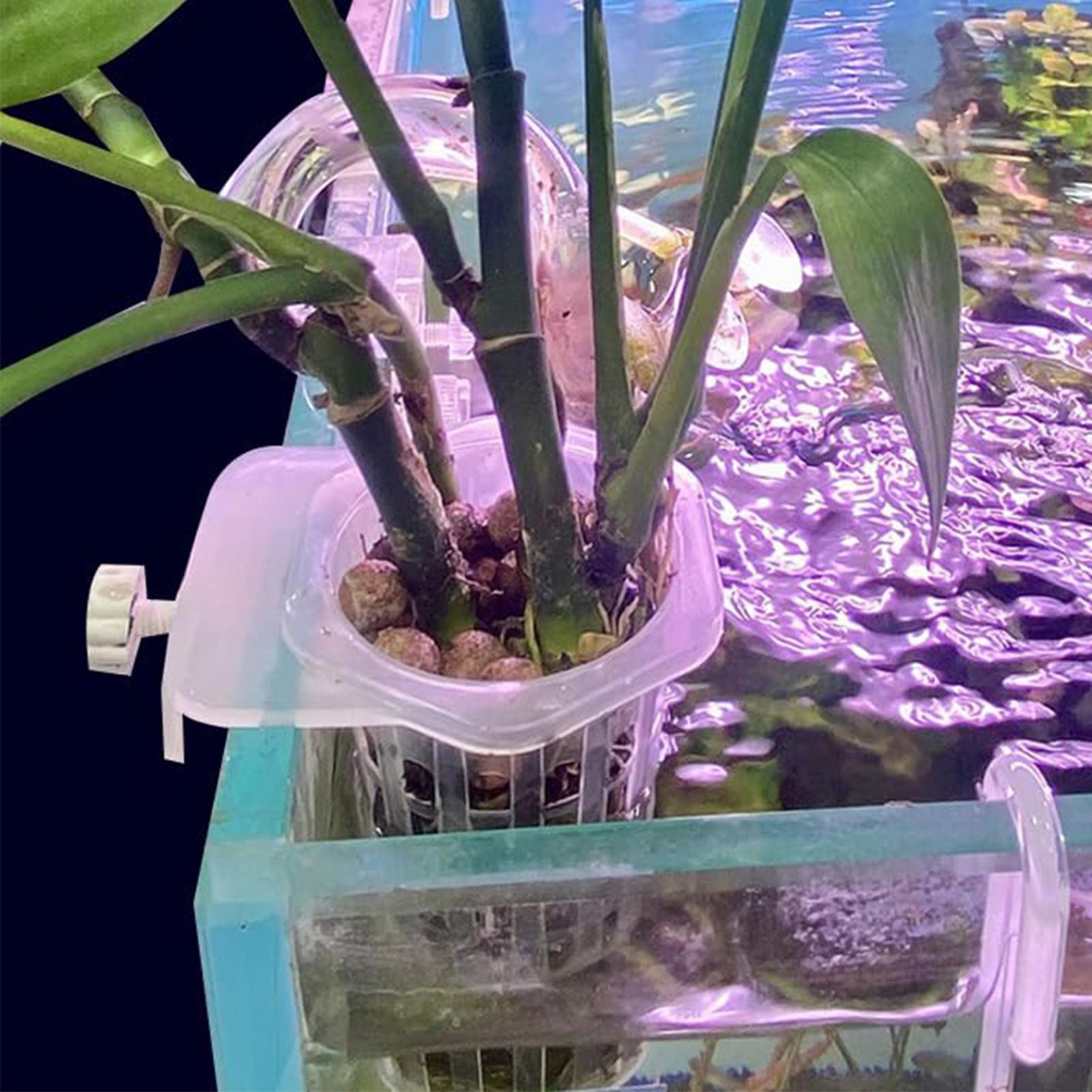 Soporte colgante para plantas  - Aquarium Fish Elevator reseña y precio
