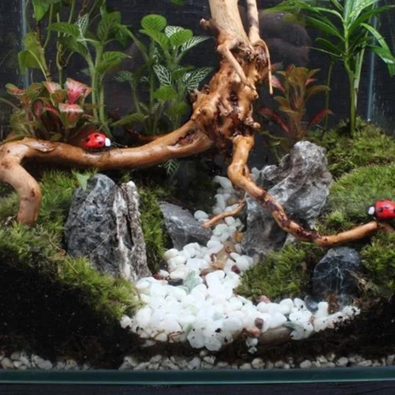 Tronco de árbol Natural de mad - Aquarium Fish Games reseña y precio