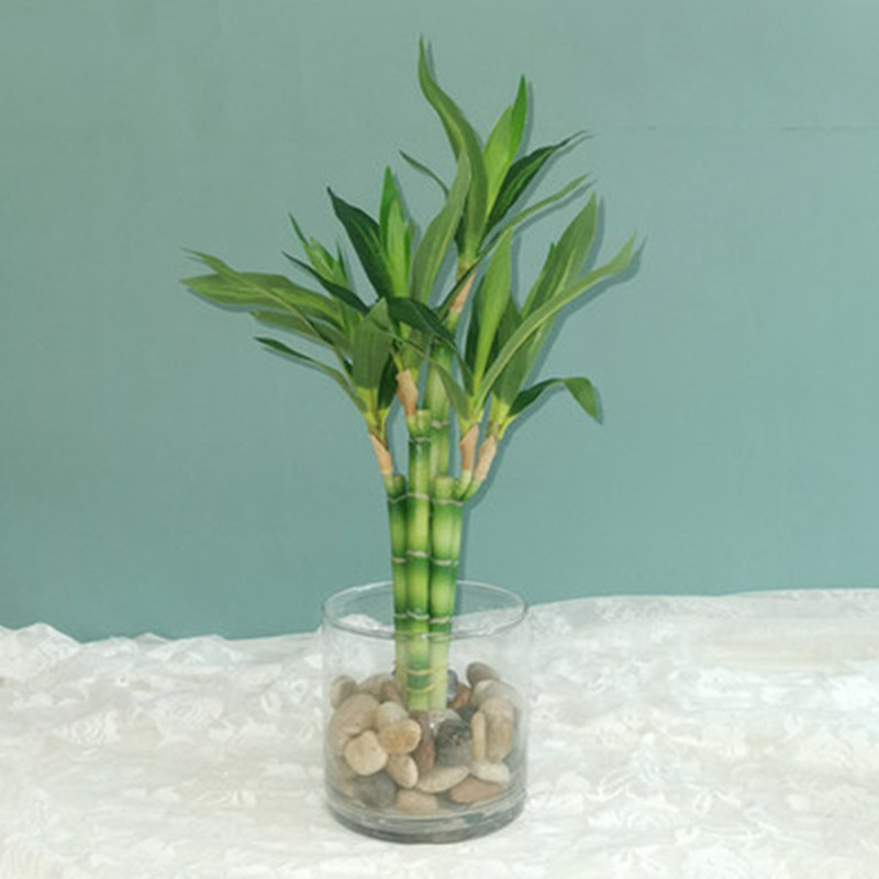 Nuevo 40cm rFtificial Lucky Ba - Aquarium Fish Pot reseña y precio