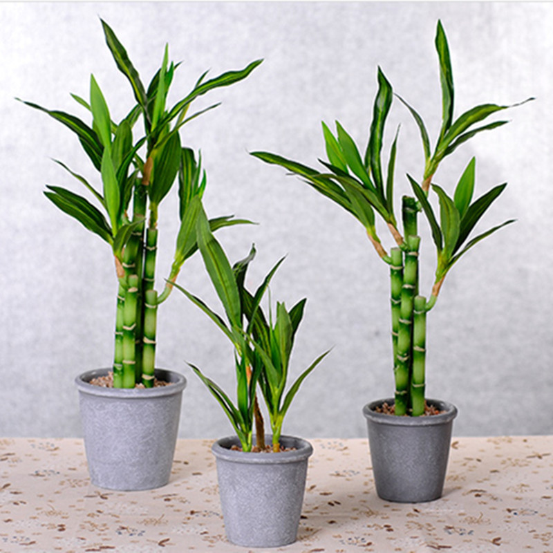 Nuevo 40cm rFtificial Lucky Ba - Aquarium Fish Pot reseña y precio
