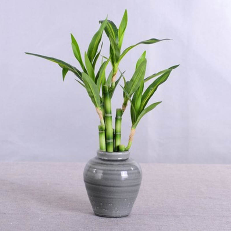 Nuevo 40cm rFtificial Lucky Ba - Aquarium Fish Pot reseña y precio