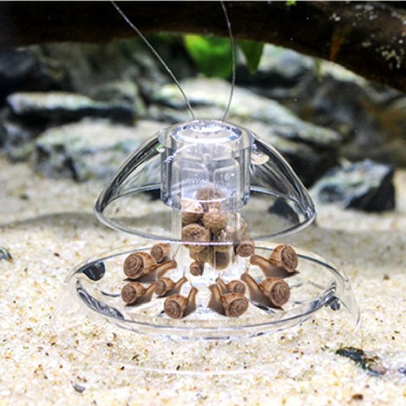 Limpiador de plástico para pec - Aquarium Fish Maintenance reseña y precio