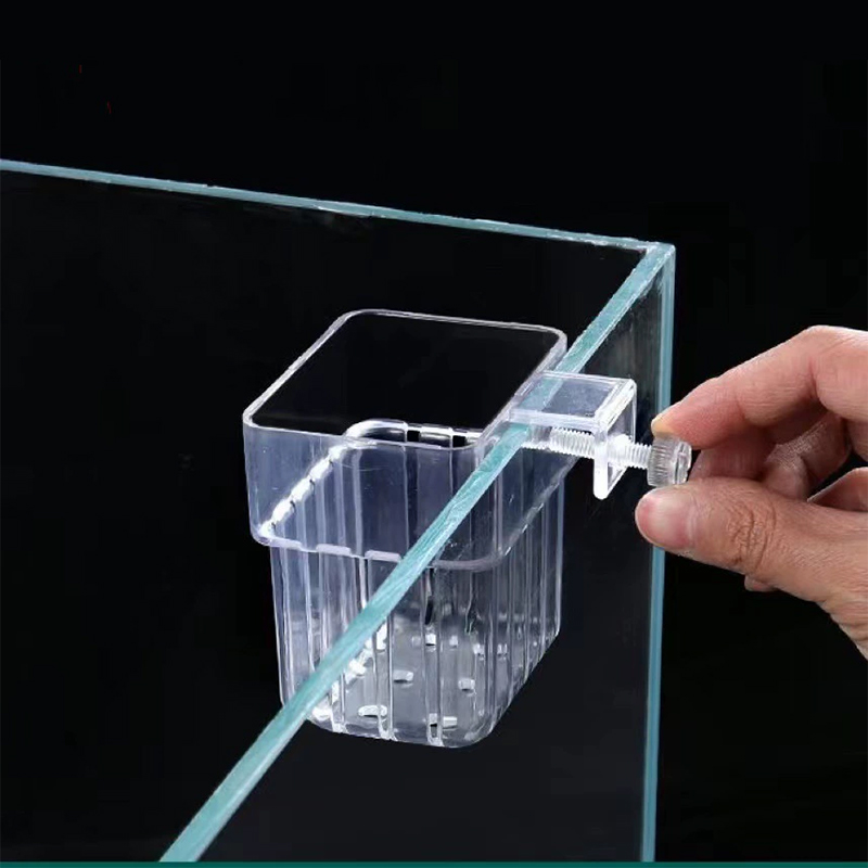 Soporte Transparente para Plan - Aquarium Fish Pot reseña y precio