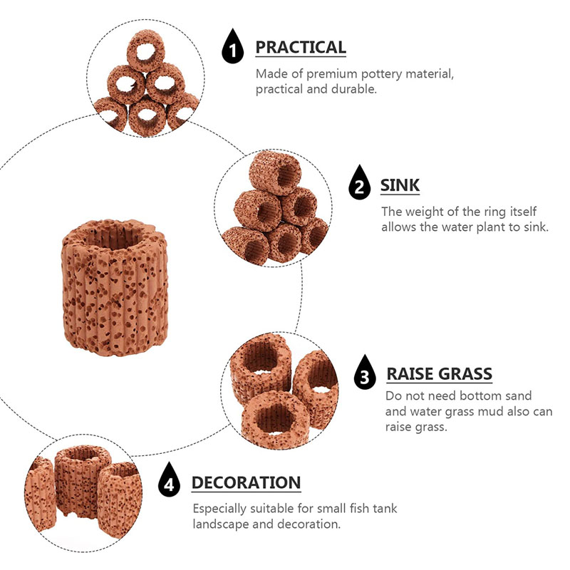 Anillo fijo para plantas acuát - Aquarium Fish Pot reseña y precio