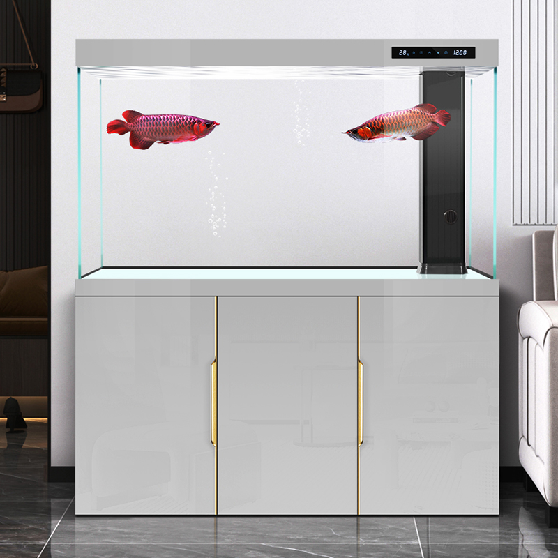 Tanque de peces para sala de e - Aquarium Fish Dragon reseña y precio