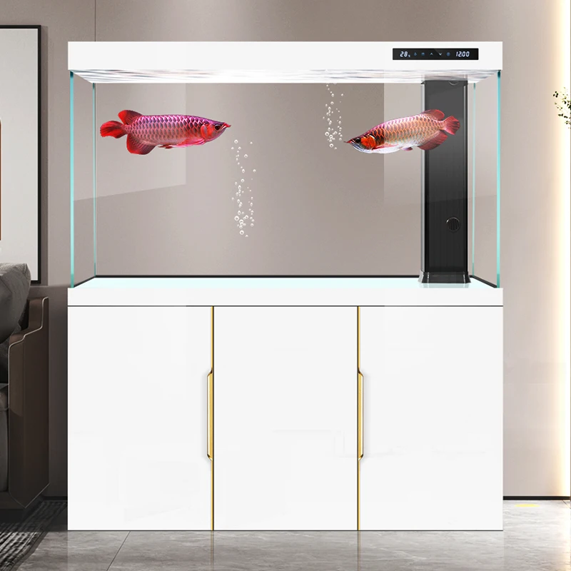 Tanque de peces para sala de e - Aquarium Fish Dragon reseña y precio