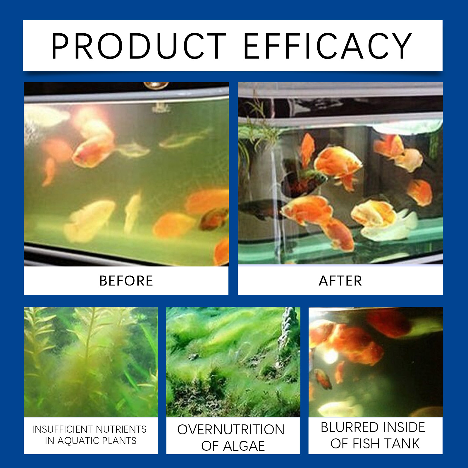 Clarificador de agua para acua - Aquarium Fishing reseña y precio