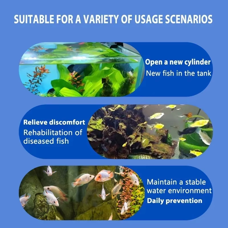Tratamiento de enfermedades de - Aquarium Fishing reseña y precio