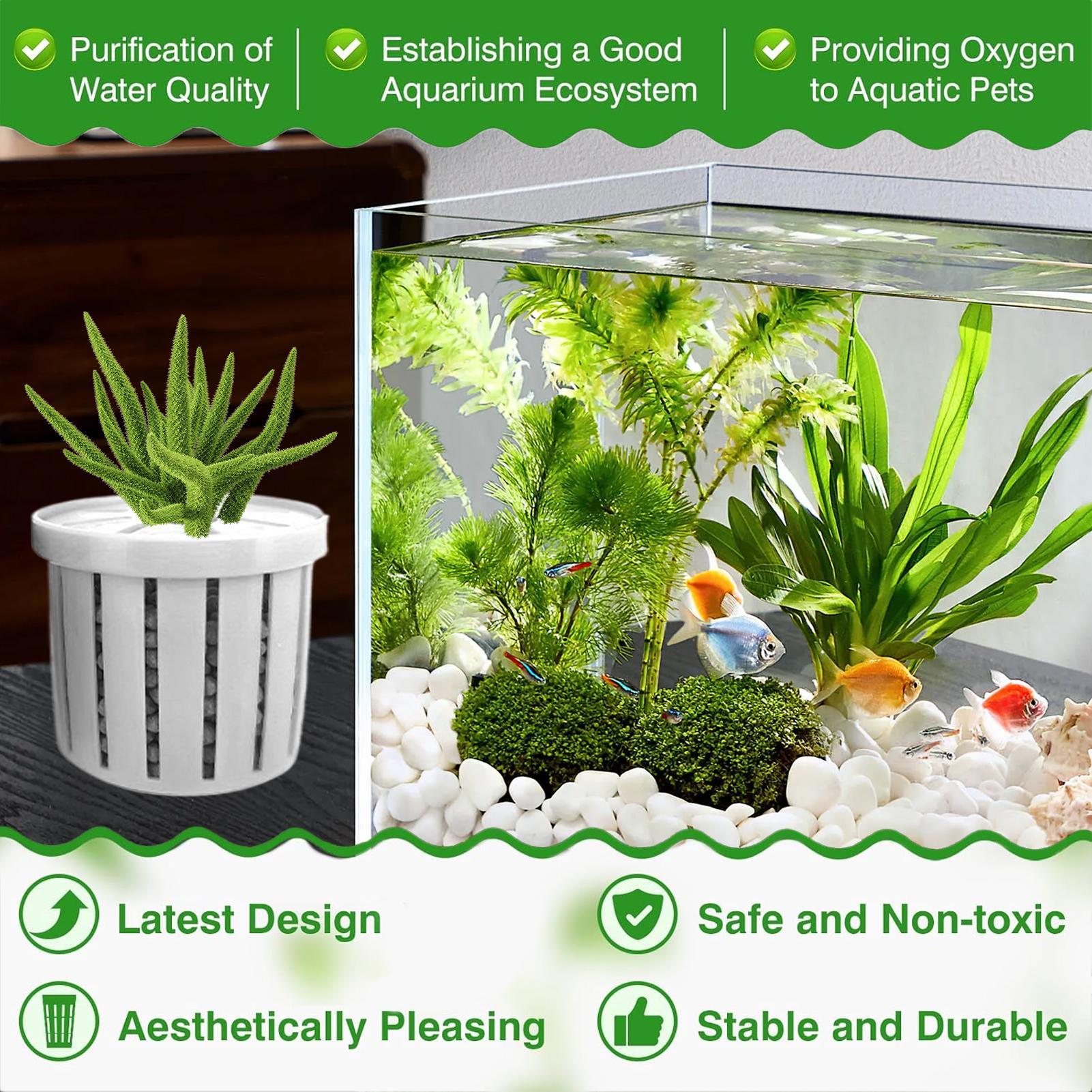Maceta para acuario de 4 pieza - Aquarium Fish Pot reseña y precio