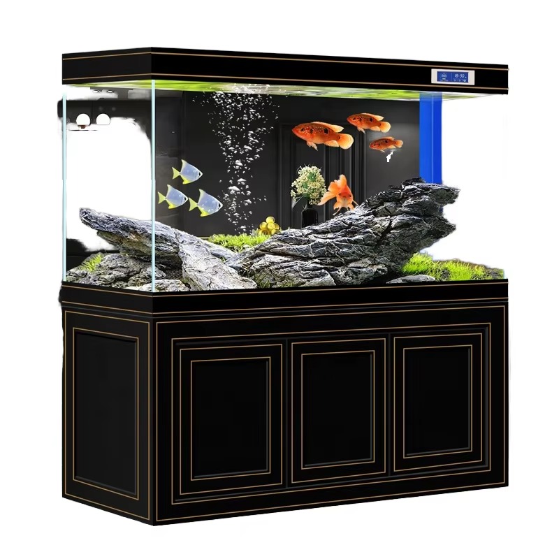 Acuario para Salón, Hogar, Vid - Aquarium Fish Dragon reseña y precio