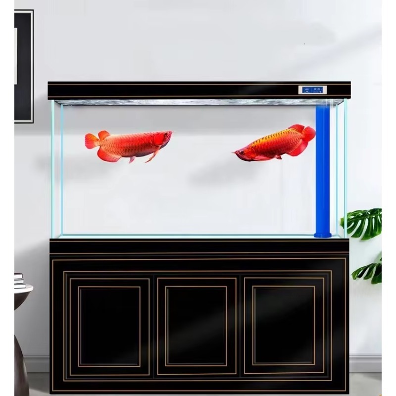 Acuario para Salón, Hogar, Vid - Aquarium Fish Dragon reseña y precio