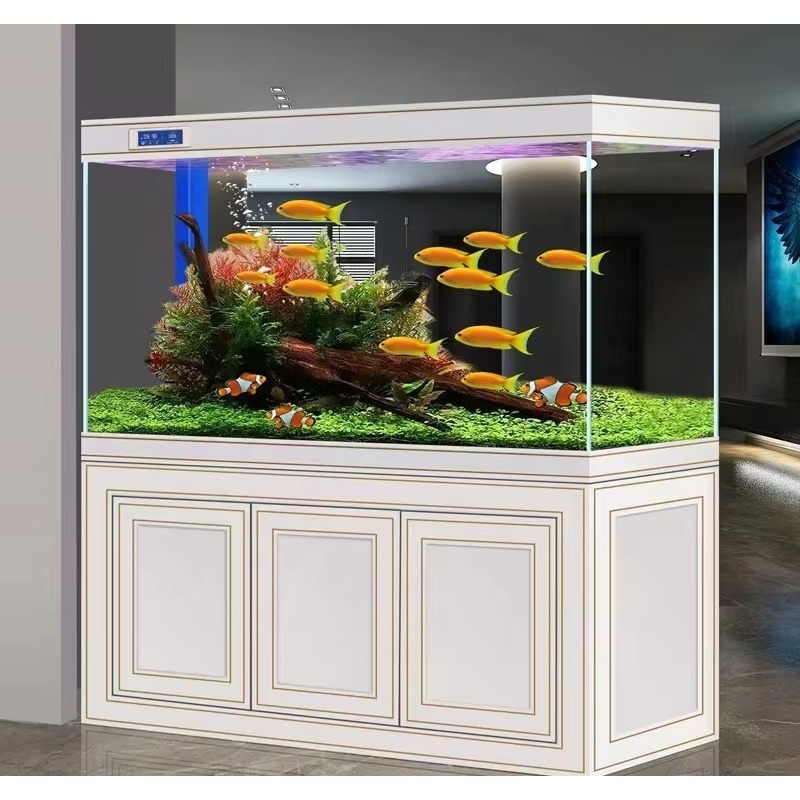 Acuario para Salón, Hogar, Vid - Aquarium Fish Dragon reseña y precio