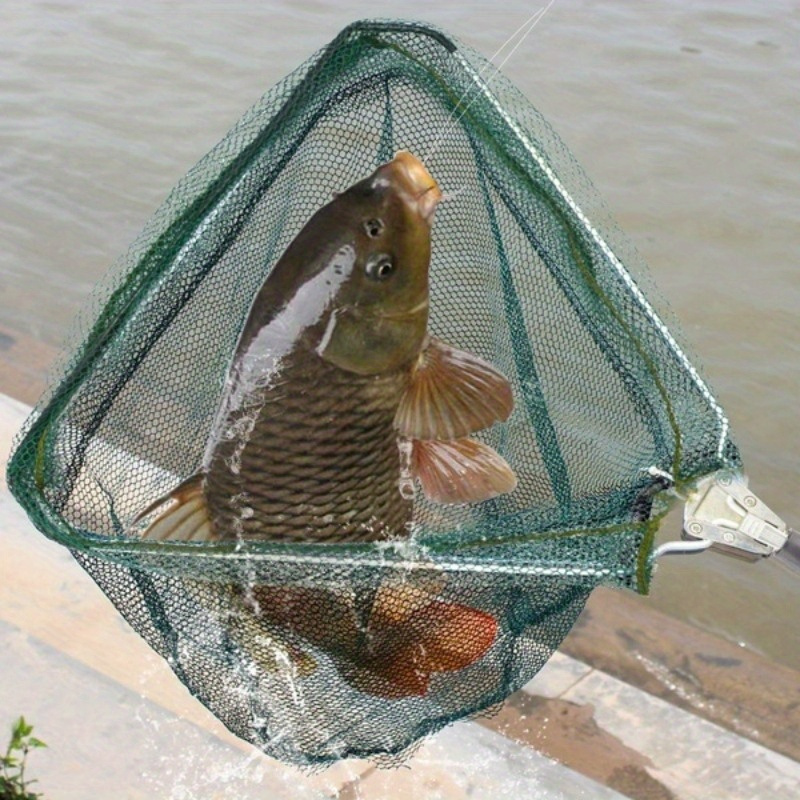 Red de Pesca Plegable Triangul - Fish Net Handle reseña y precio