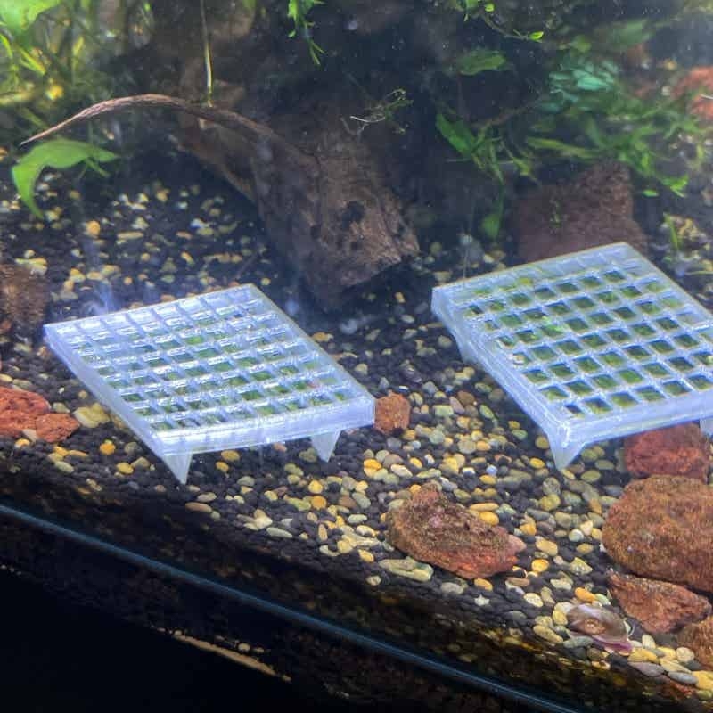 Rejilla elevada de malla para  - Aquarium Fish Elevator reseña y precio