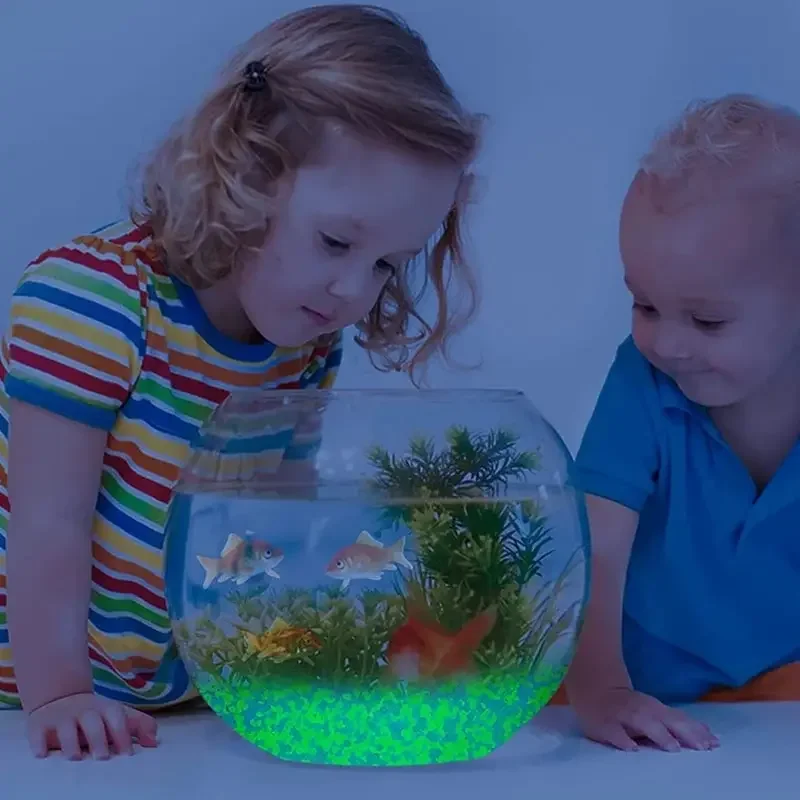 1000 Uds. De arena luminosa de - Aquarium Fishing reseña y precio