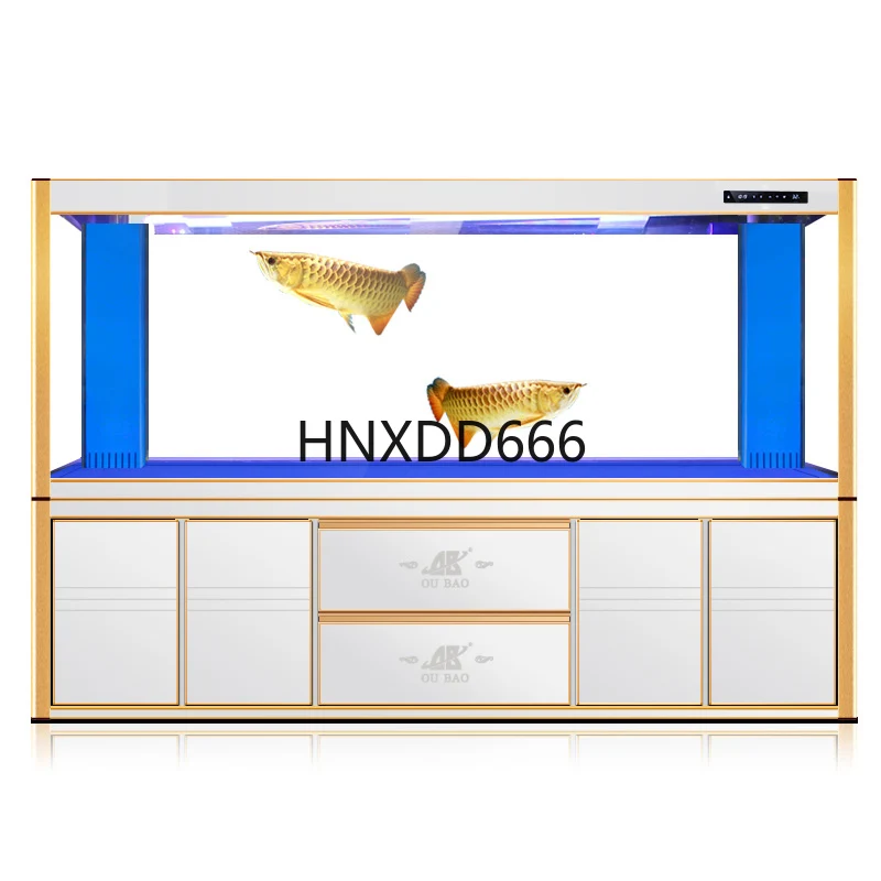 Acuario grande para peces drag - Aquarium Fish Dragon reseña y precio