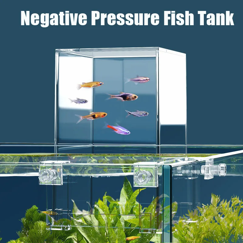 Tanques de acuario creativos,  - Aquarium Fish Pot reseña y precio