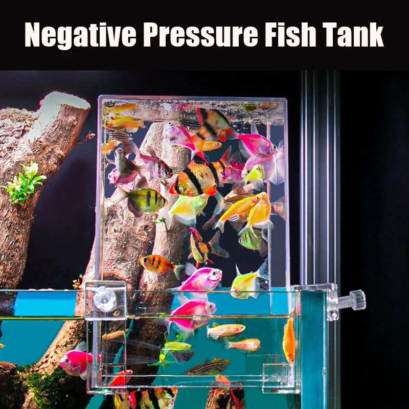 Tanques de acuario creativos,  - Aquarium Fish Pot reseña y precio