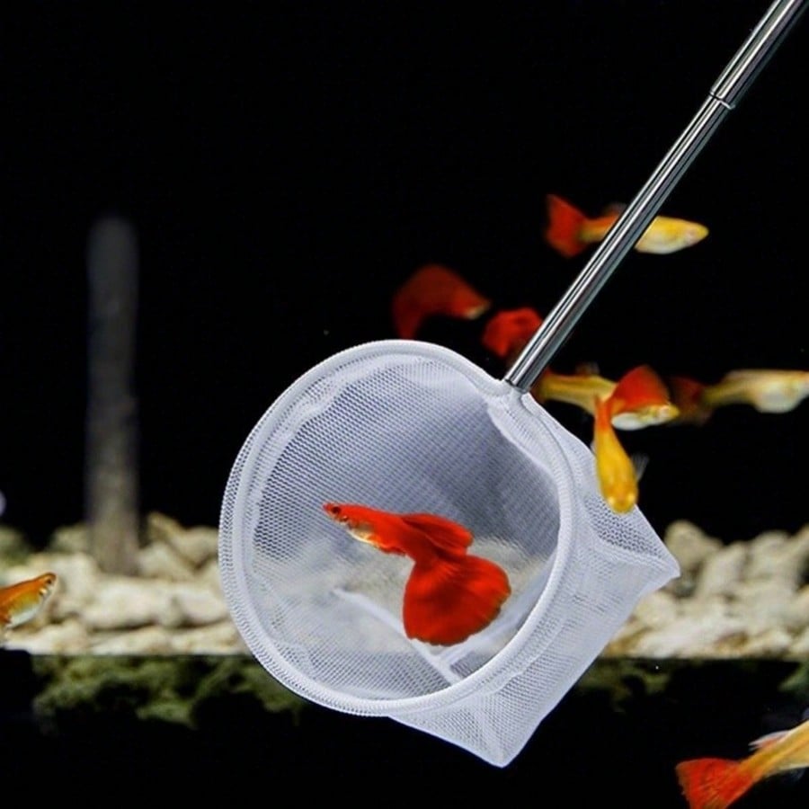Red para Peces de Acuario - Re - Fish Net Handle reseña y precio