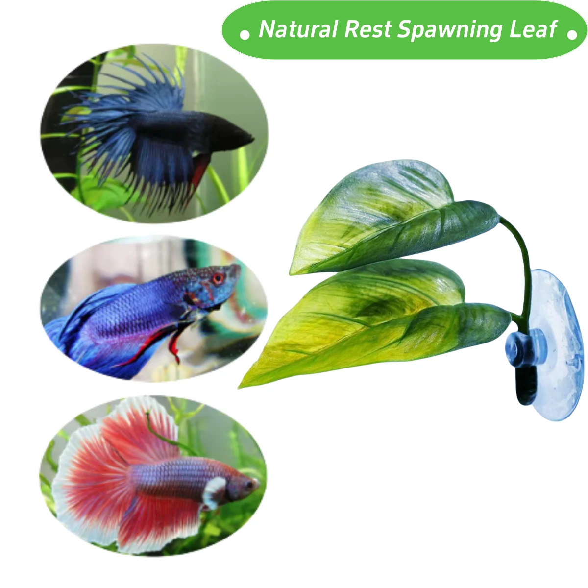 Decoración de pecera para masc - Aquarium Fish Games reseña y precio