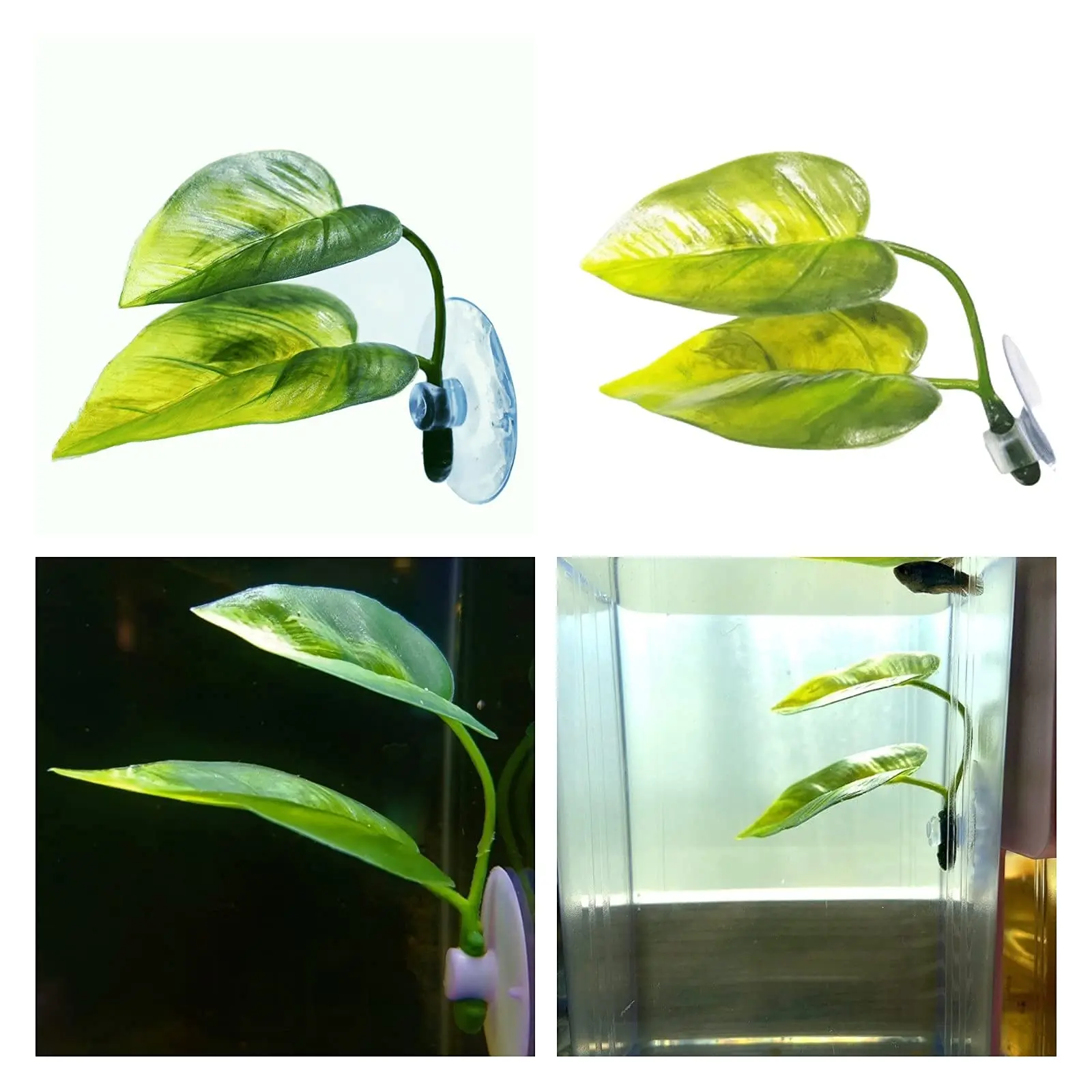Decoración de pecera para masc - Aquarium Fish Games reseña y precio