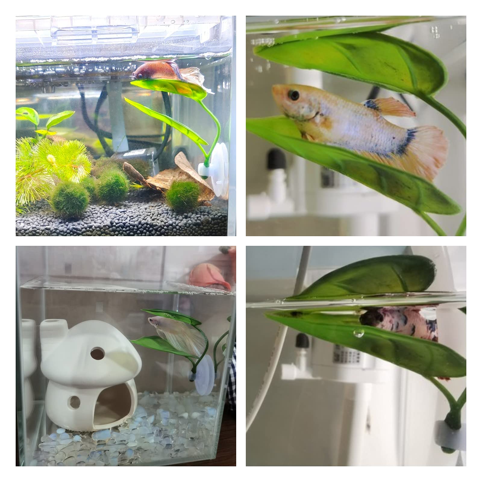 Decoración de pecera para masc - Aquarium Fish Games reseña y precio