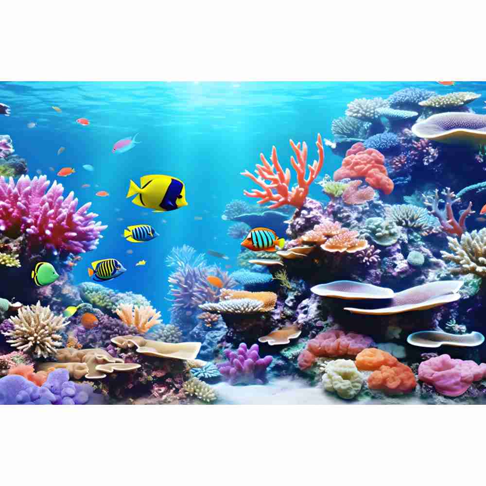 Fondo de fotografía submarino  - Aquarium Fish Dolphin reseña y precio