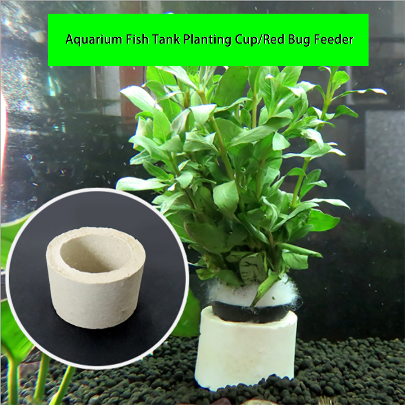 Anillo de cerámica para decora - Aquarium Fish Pot reseña y precio